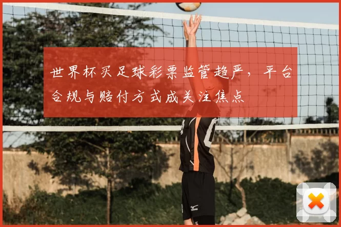 世界杯买足球彩票监管趋严,平台合规与赔付方式成关注焦点
